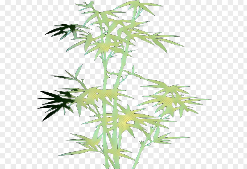 Houseplant Tarragon Plant Flower Leaf Bamboo Grass PNG