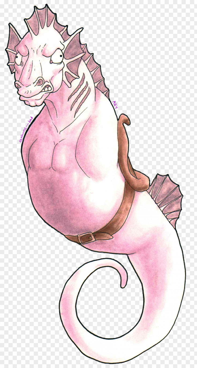 Seahorse Cat Art Drawing PNG