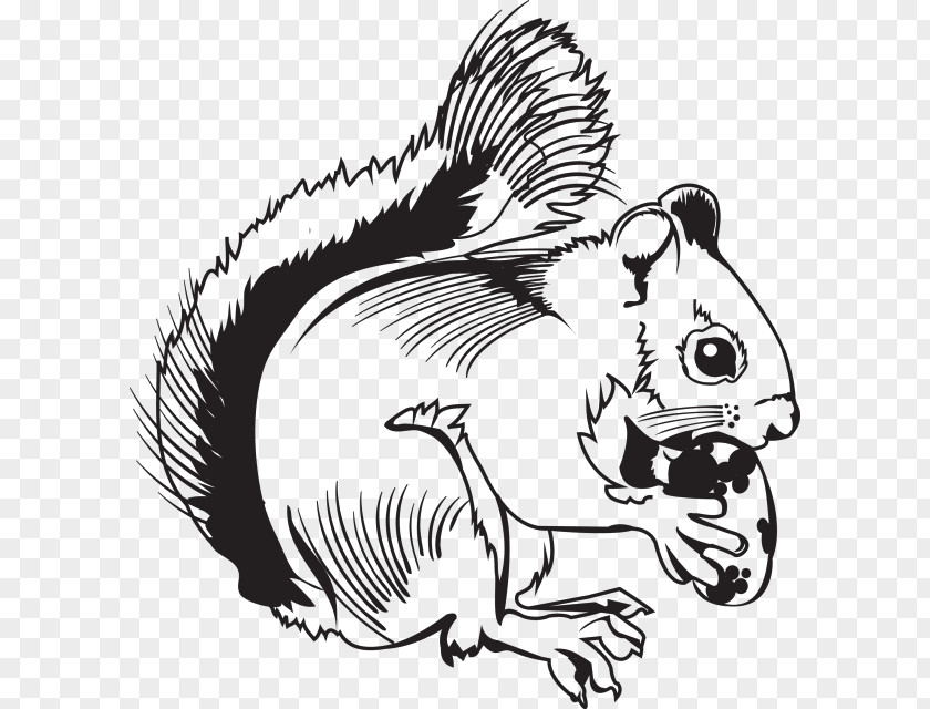 Beaver Mouse Drawing Line Art Clip PNG