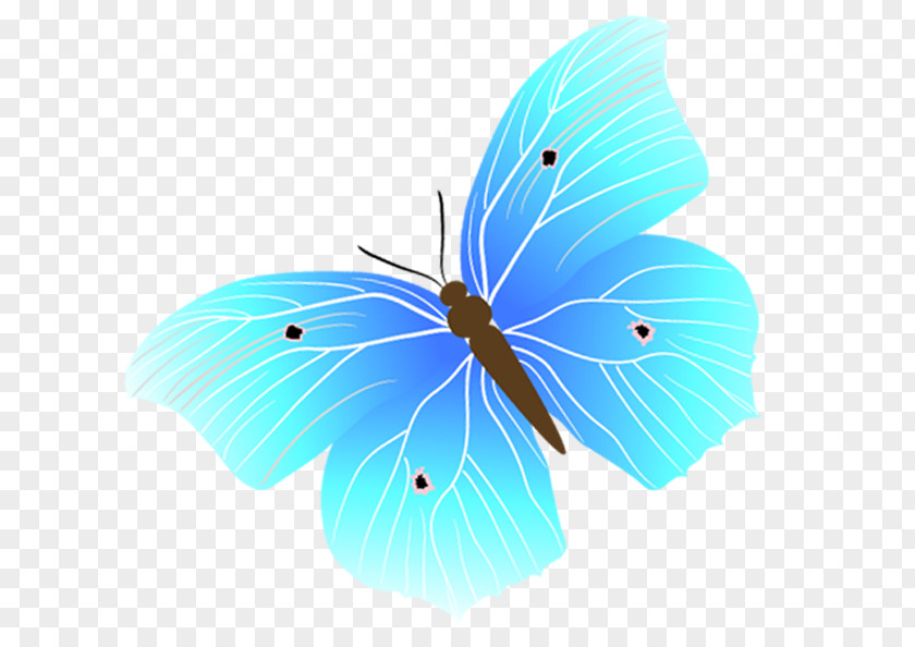 Blue Butterfly Euclidean Vector PNG