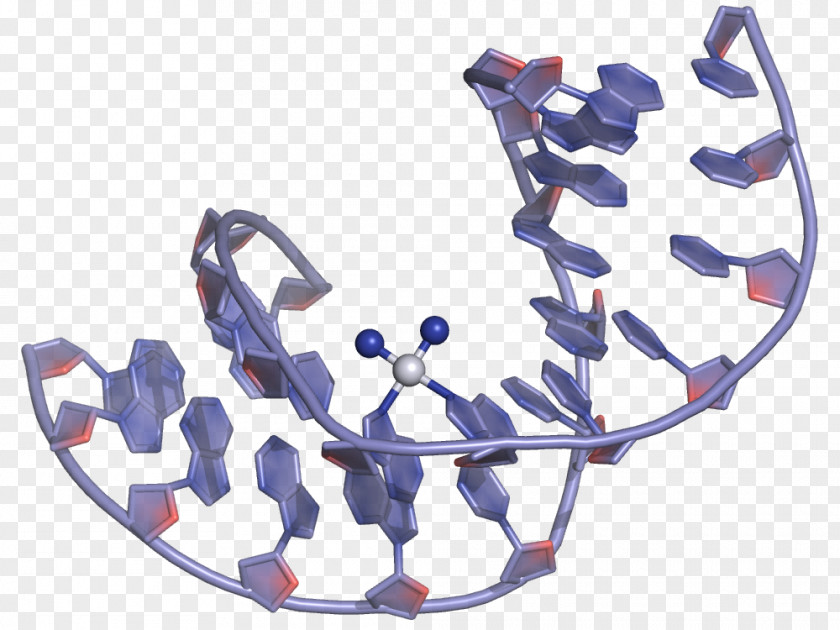 Cancer Cell Cisplatin DNA Adduct Chemistry Coordination Complex PNG