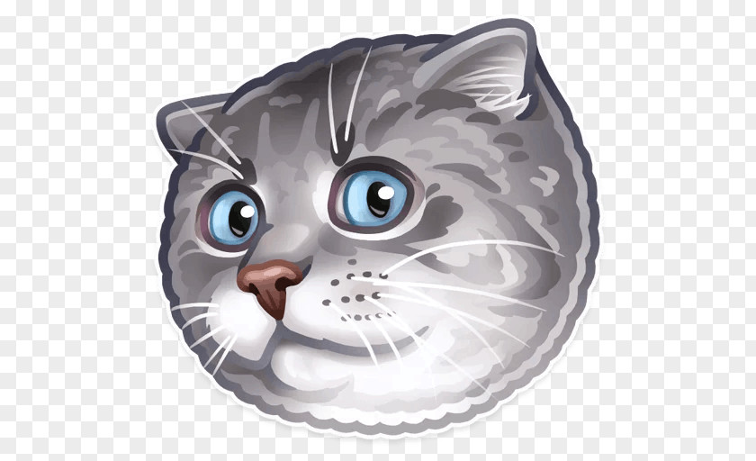 Cat Sticker Whiskers Telegram Dog PNG