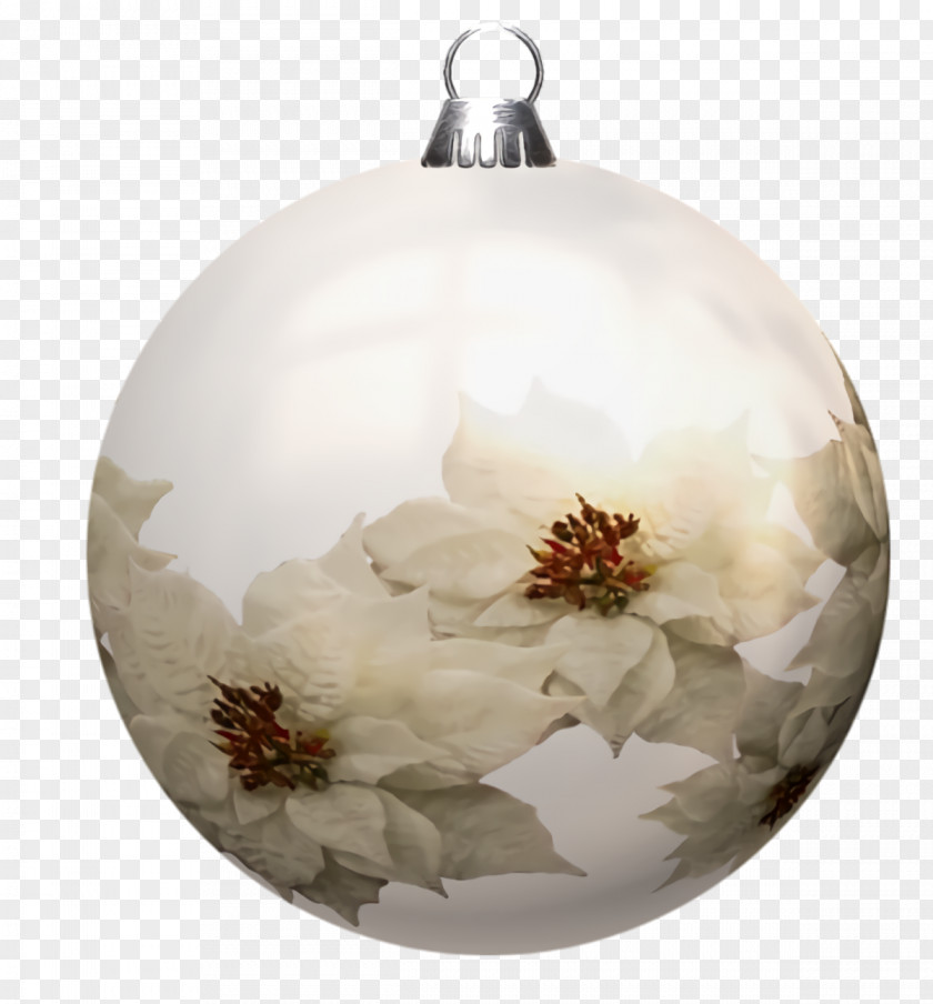 Christmas Decoration Blossom Bulbs Balls Bubbles PNG