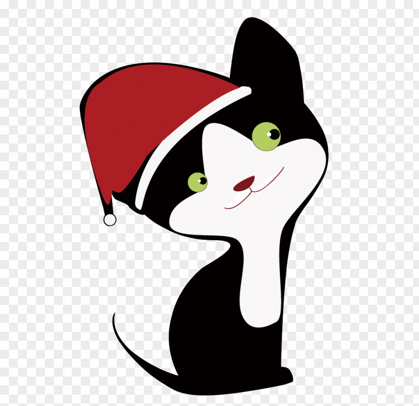 Cute Cat Whiskers Black Cuteness PNG