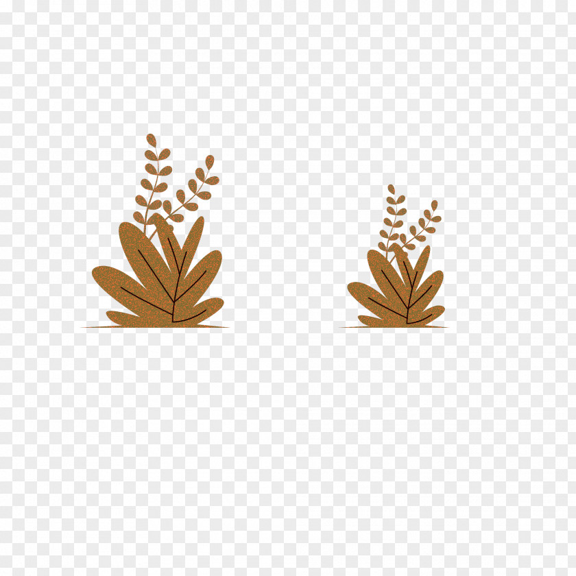 Leaf Tree Plants Plant Structure Science PNG