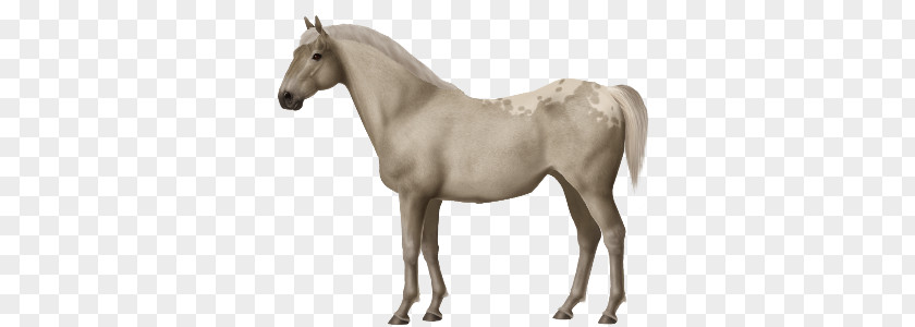 Mustang Morgan Horse American Quarter Mane The Sims 3: Pets PNG