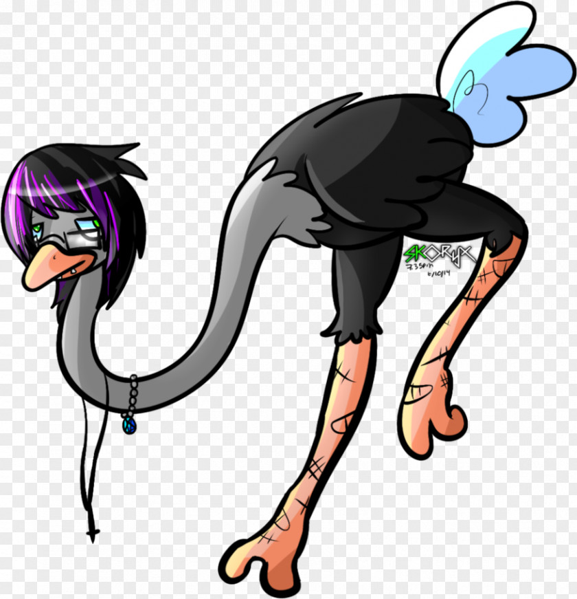 Ostrich Bird Vertebrate Cartoon Clip Art PNG