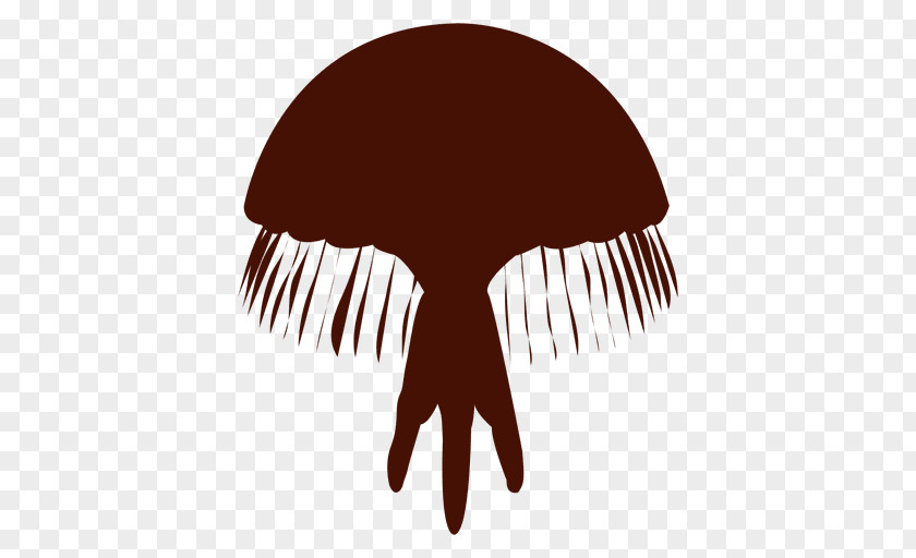 Silhouette Box Jellyfish Aquatic Animal Lion's Mane PNG