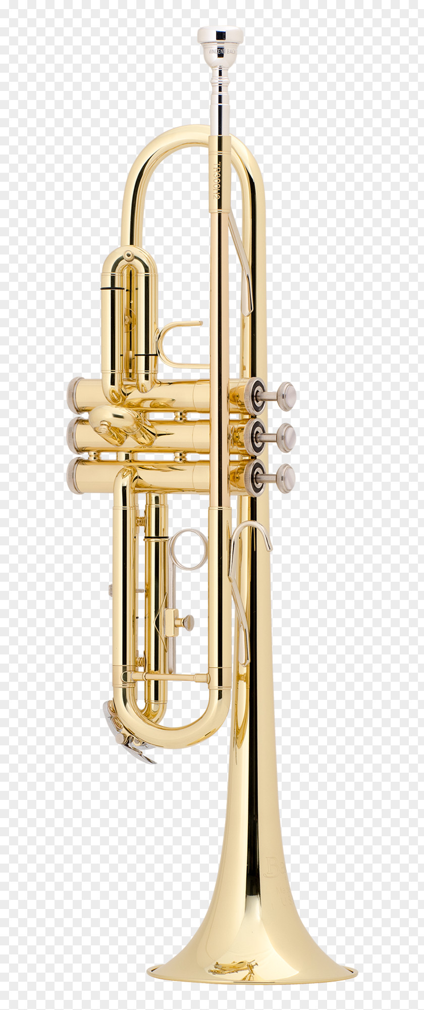 Trumpet Brass Instruments Musical Cornet Flugelhorn PNG