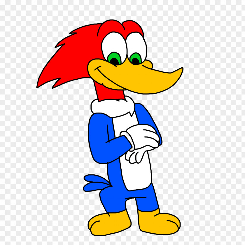 Woody Woodpecker Cartoon Drawing PNG