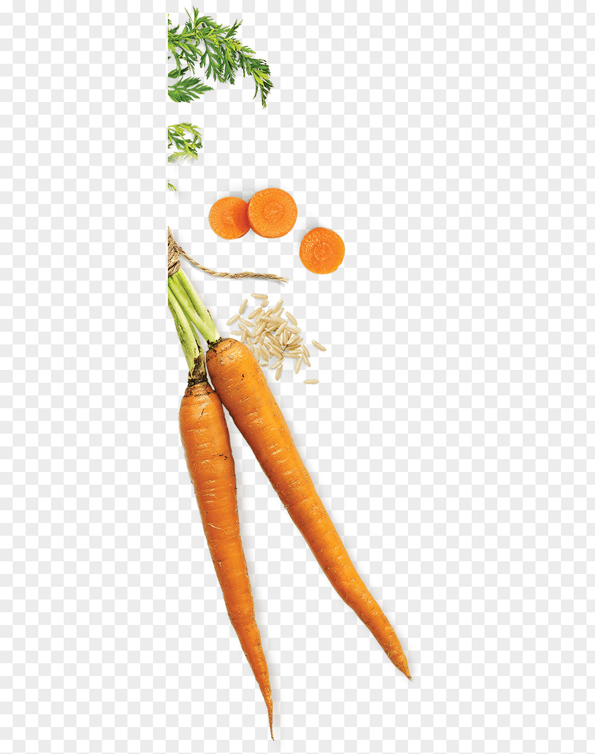 Bunch Of Carrots Baby Carrot Natural Foods PNG