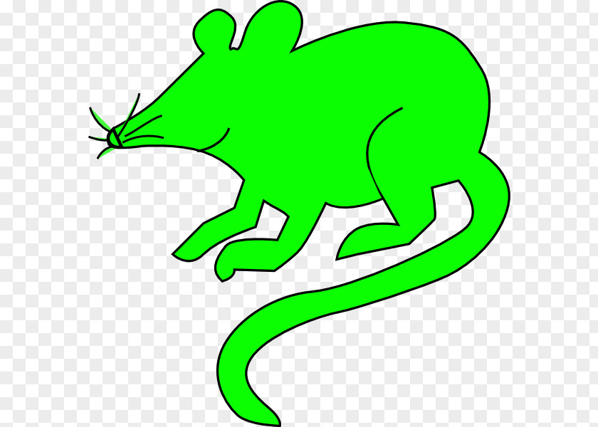 Computer Mouse Rat Clip Art PNG