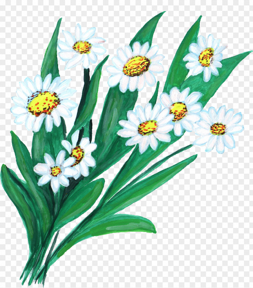 Flower Banner Floristry Art PNG