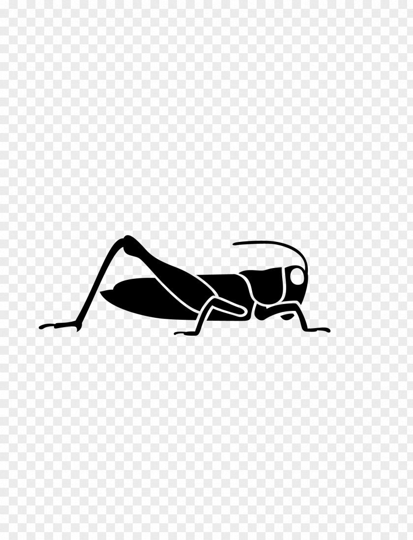 Grasshopper Caelifera Paper Sticker PNG