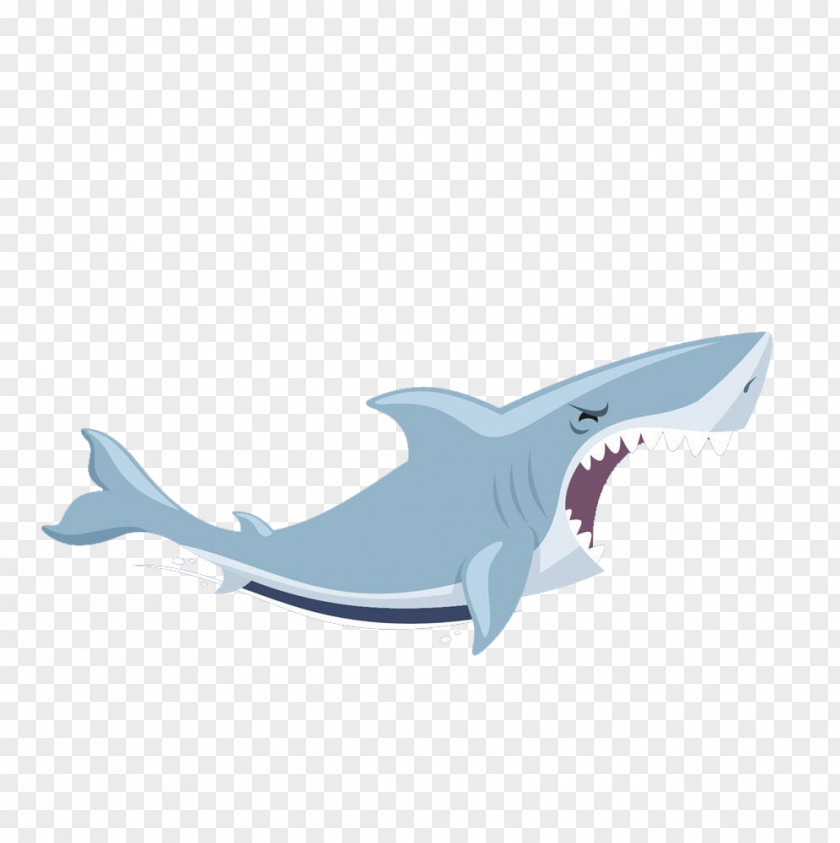 Shark Illustration PNG