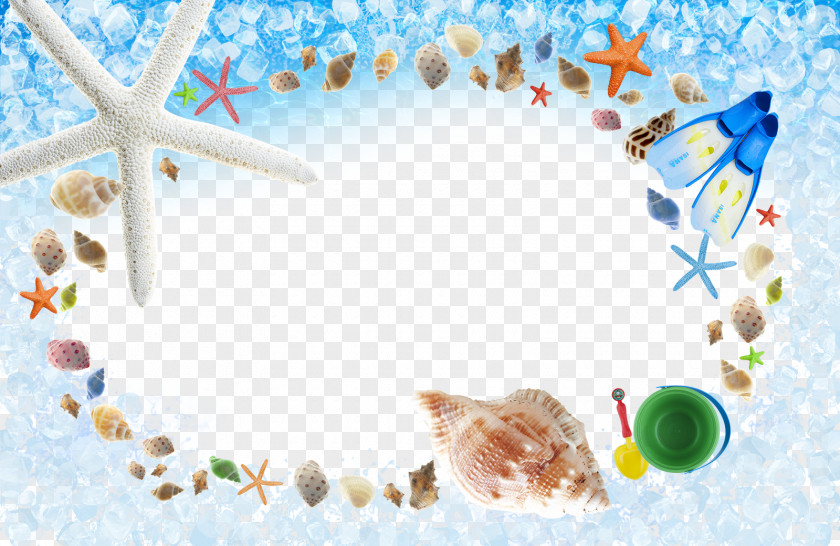 Shell Decorative Background Photography Royalty-free Illustration PNG