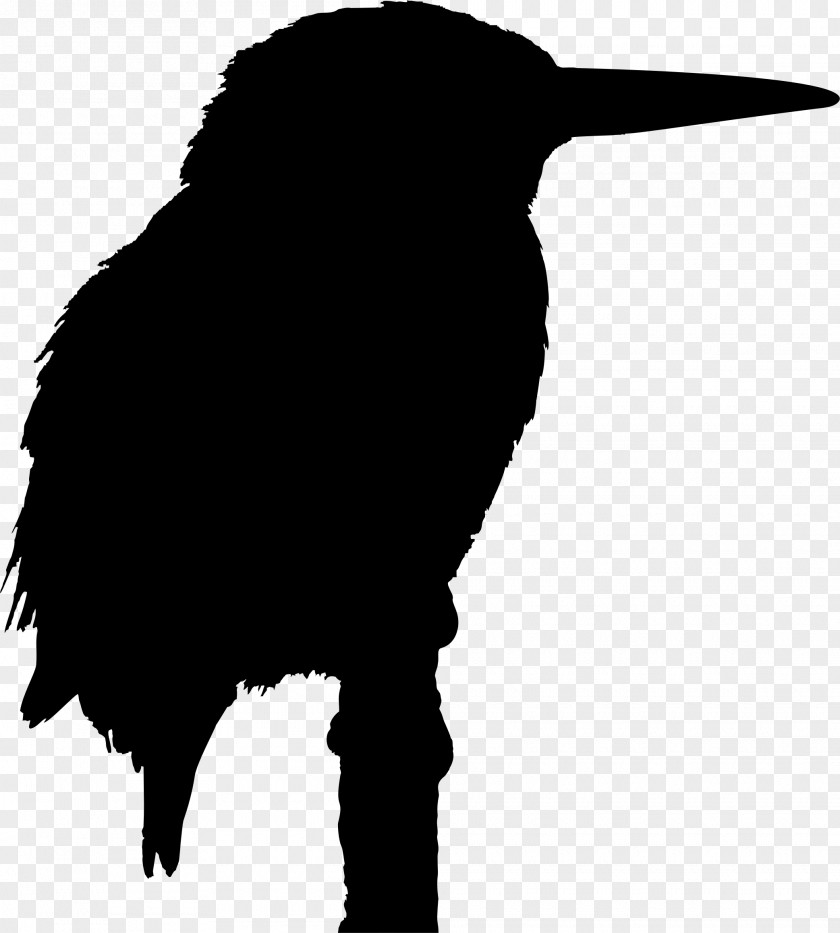 Silhouette Belted Kingfisher Azure Clip Art PNG