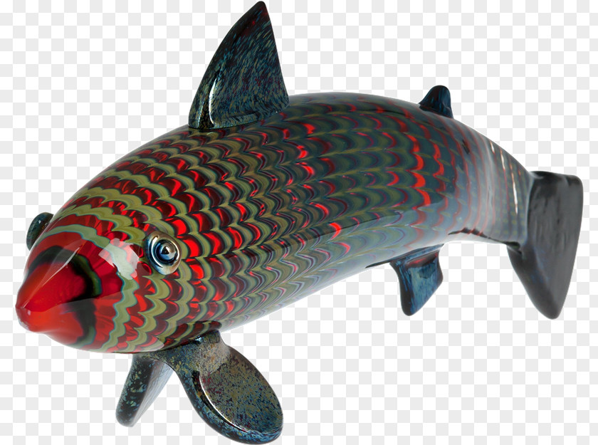 VK Salmon Fish PhotoScape PNG