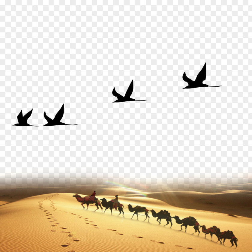 Desert Camel Real Scene Corporate Design Business Identity Advertising Limited Liability Company PNG