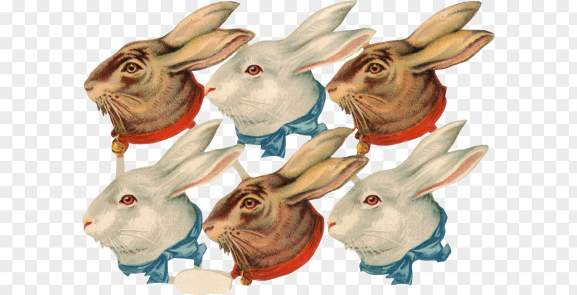 Domestic Rabbit Hare Vintage Clothing Clip Art PNG