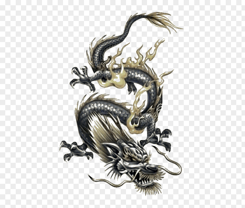 Dragon Chinese Tattoo Japanese PNG