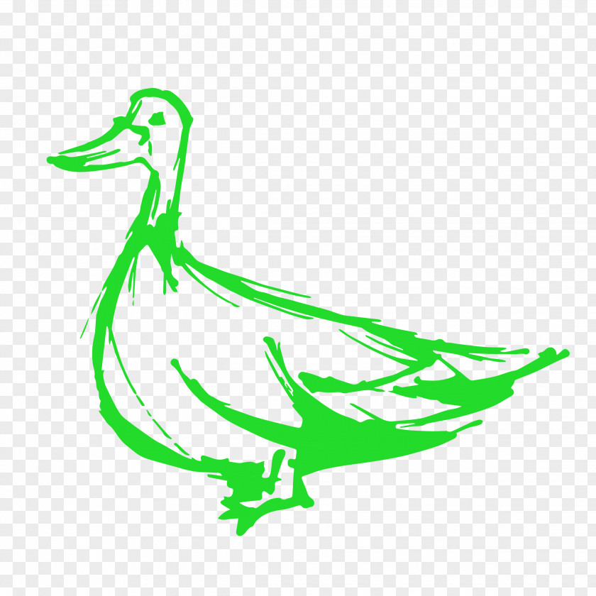 Duck Green Goose Renovations & Construction Anatidae PNG