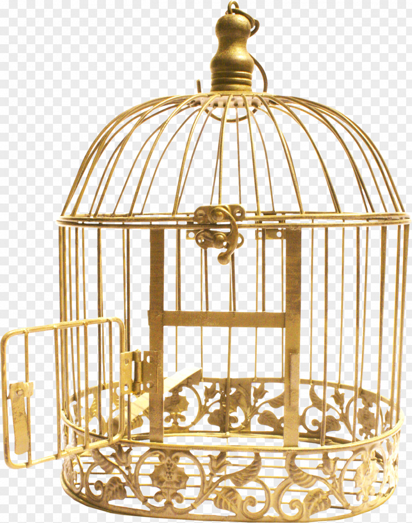 Jail Cell Bird Cage Download PNG