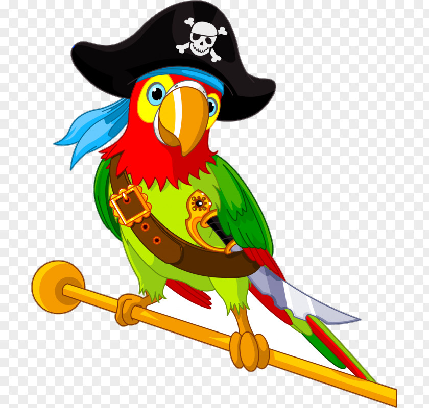 Parrot Pirate Clip Art PNG