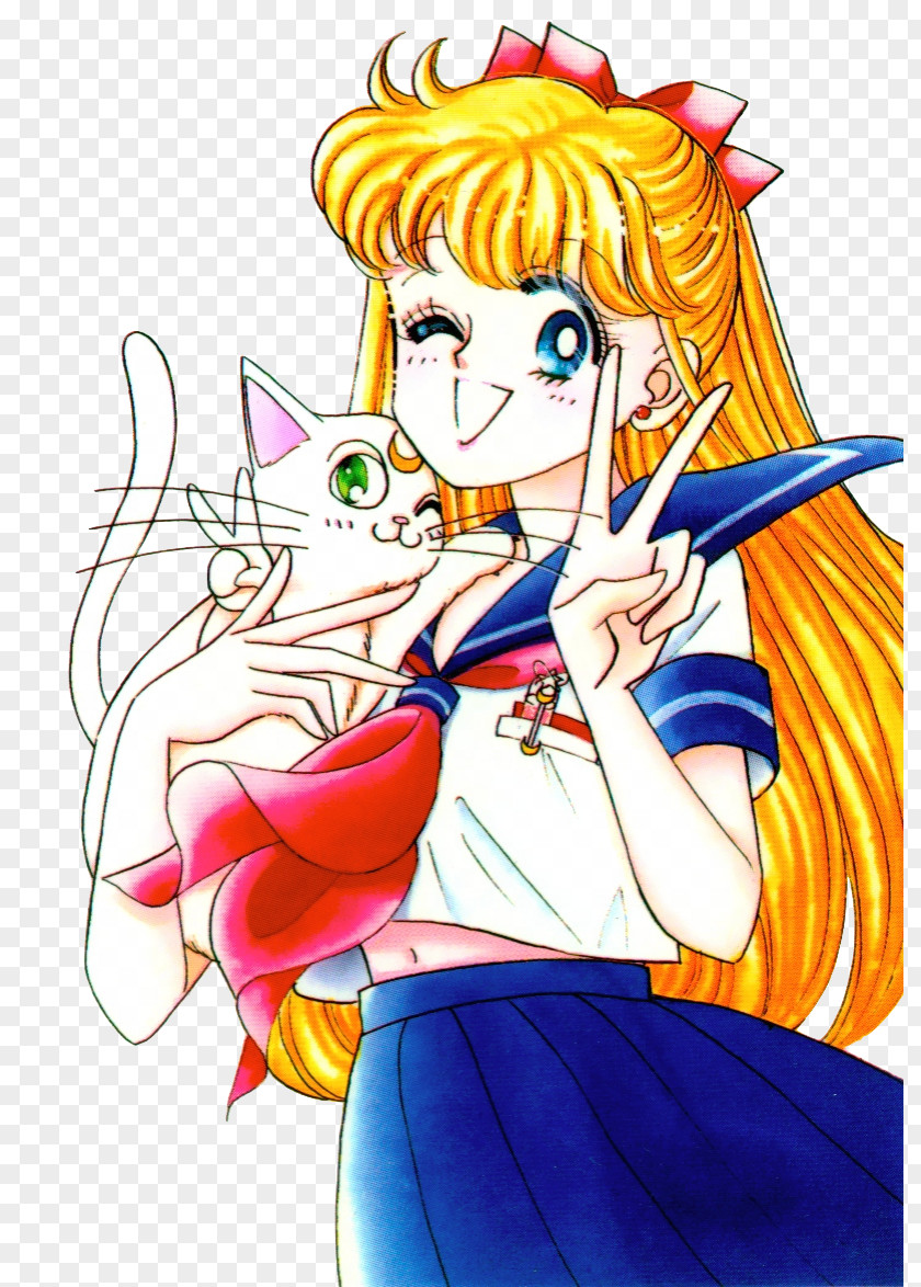 Sailor Moon Venus Artemis Chibiusa Tuxedo Mask PNG