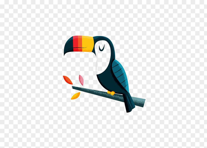 Parrot Bird Toucan Macaw PNG