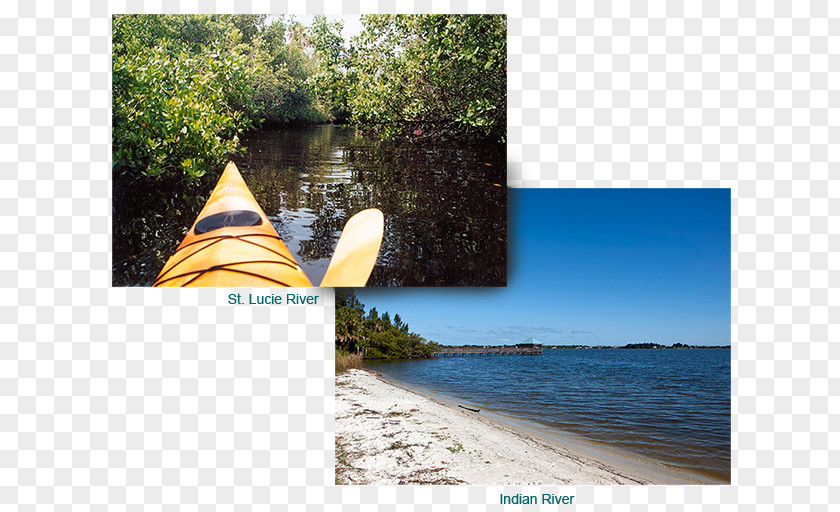 Rivers And Lakes Pinelake Village Wii Sports Retirement Community Water Resources PNG