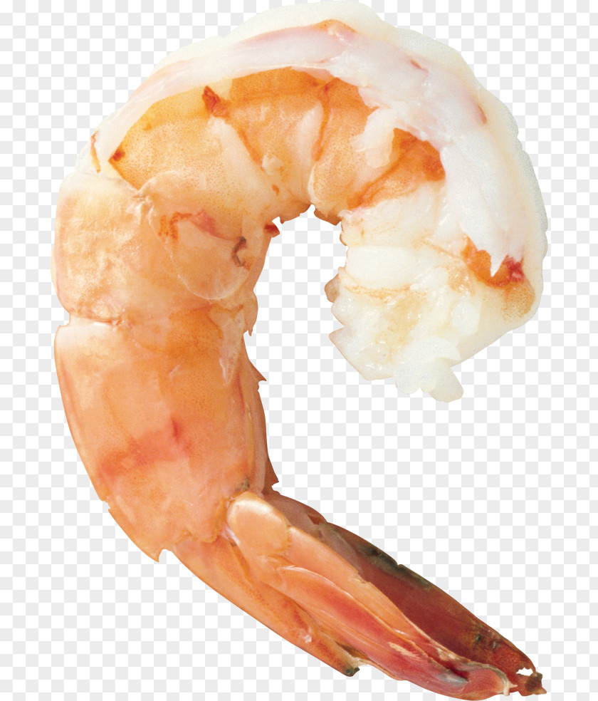 Shrimp And Prawn As Food PNG and prawn as food, clipart PNG