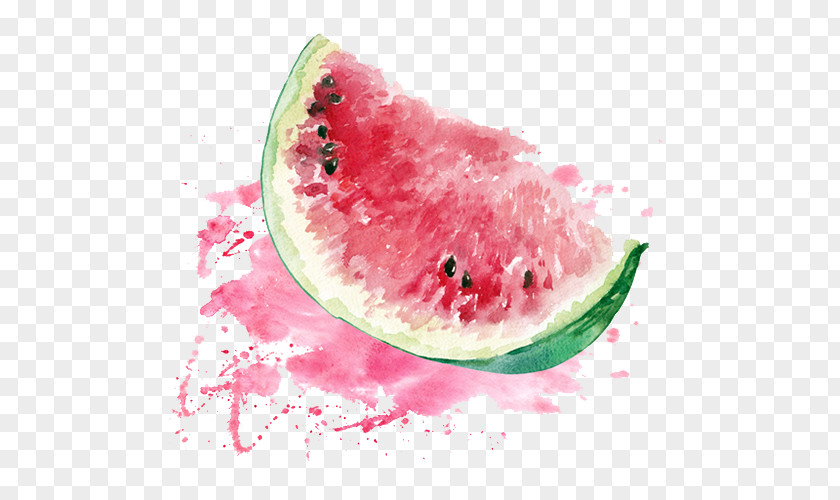Watercolor Watermelon Painting PNG