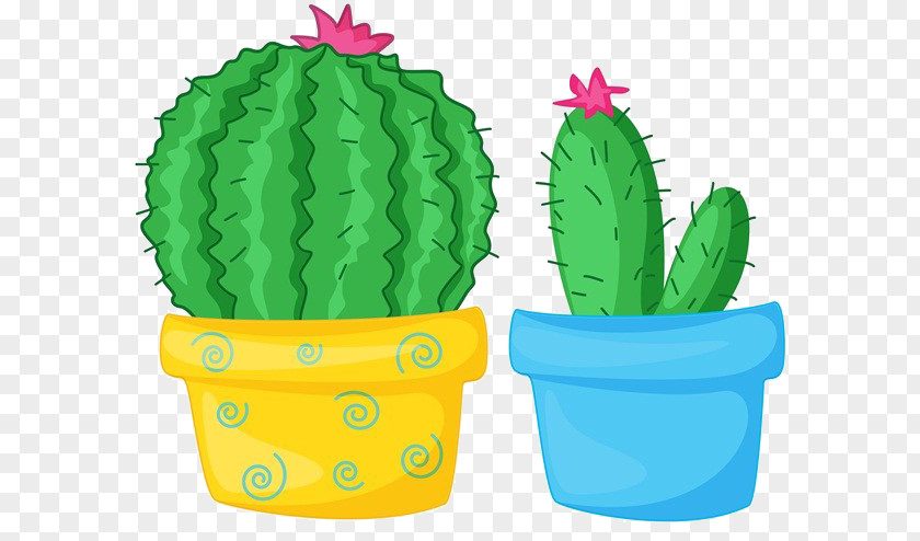 Cartoon Cactus Material Cactaceae Drawing Illustration PNG