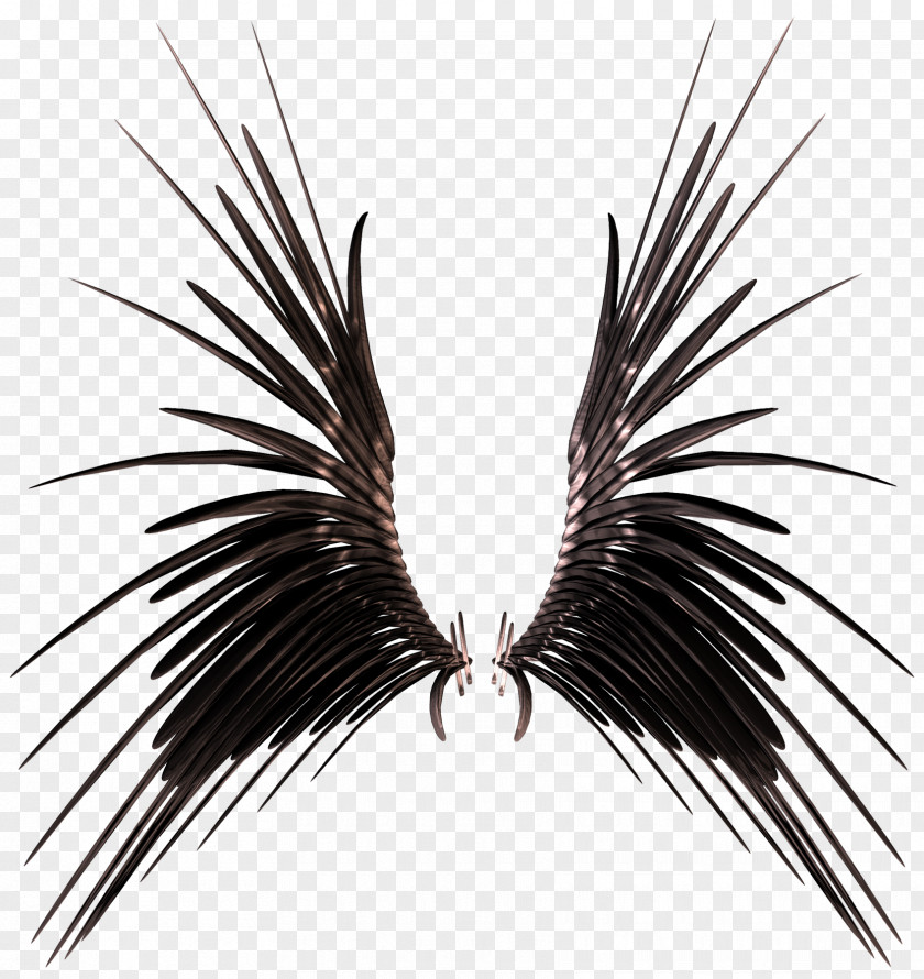Creative Black Wings Stock Photography DeviantArt Wing PNG