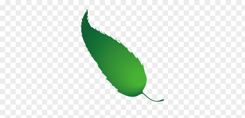 Leaves Leaf Green Wallpaper PNG