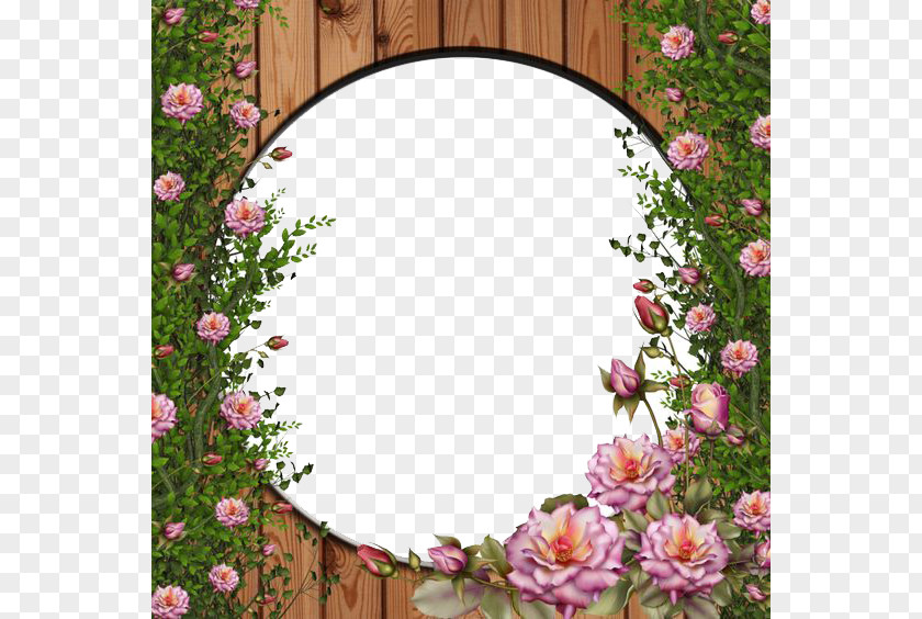 Rose Vine Clip Art PNG