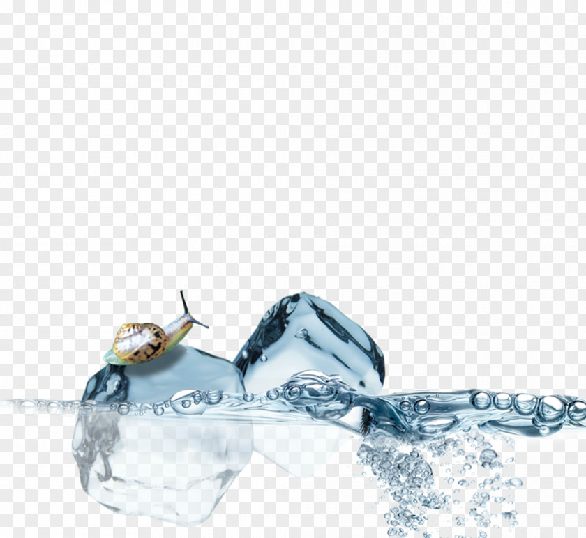 Snail On Ice Cube Lemonade Poster PNG