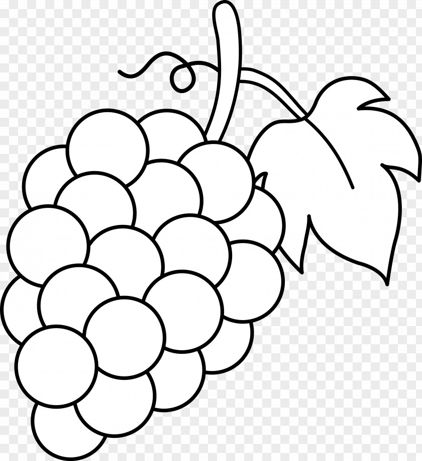 Vine Line Cliparts Common Grape Wine Black And White Clip Art PNG