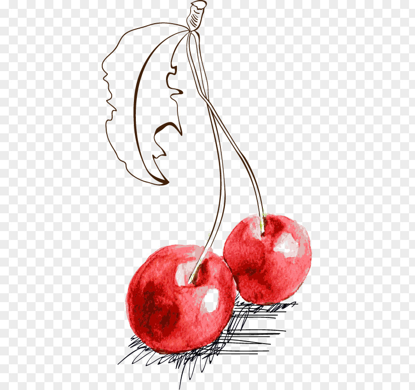 Hand-painted Cherry Fruit Illustration PNG
