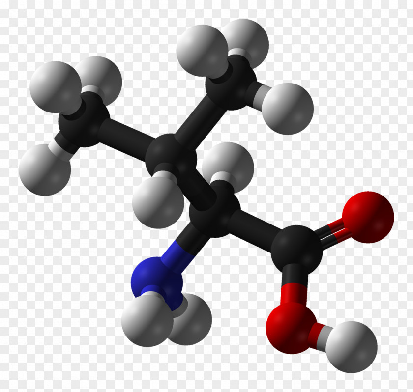 Structure Vector Essential Amino Acid Valine Threonine PNG