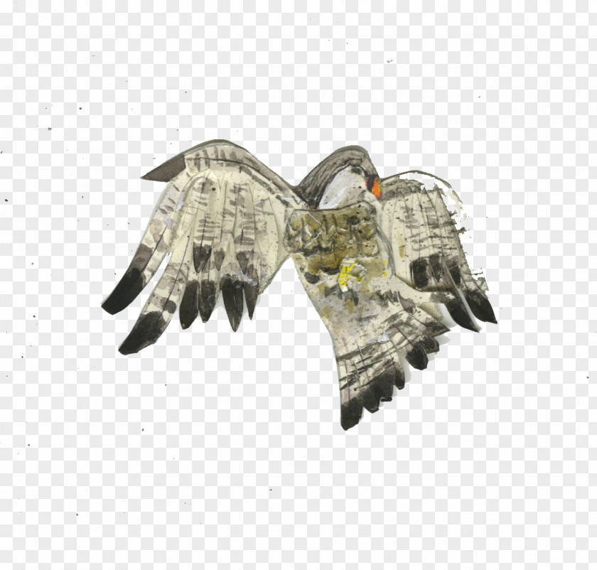 Bird Of Prey Jewellery PNG