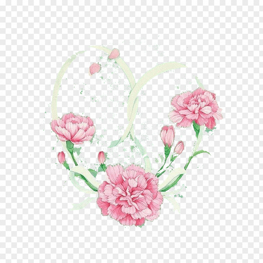 Blooming Peony Background Carnation Cartoon PNG