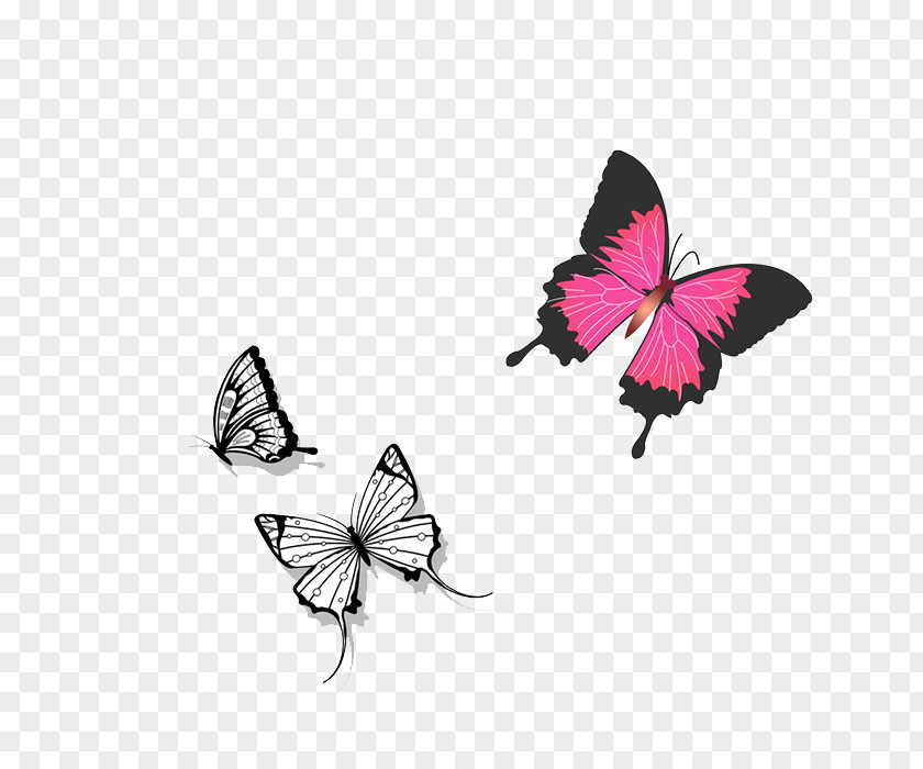 Butterfly Graphic Design Computer File PNG