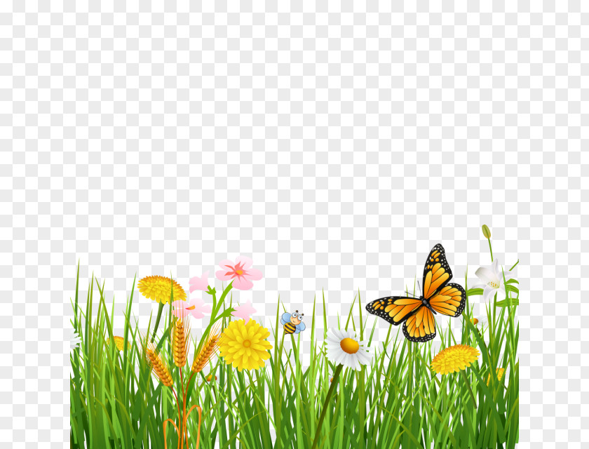 Butterfly Monarch Desktop Wallpaper Clip Art PNG