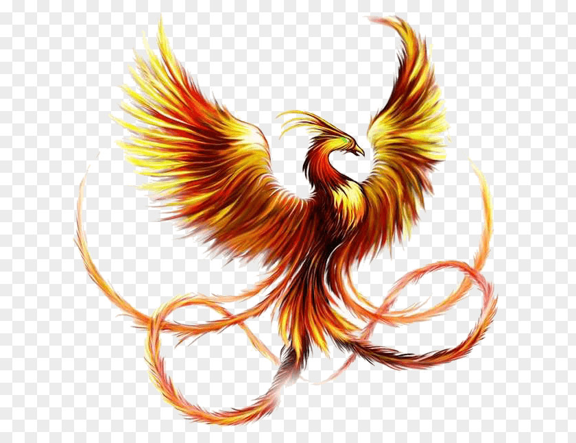 Fenghuang Sleeve Tattoo Phoenix Firebird Ink PNG