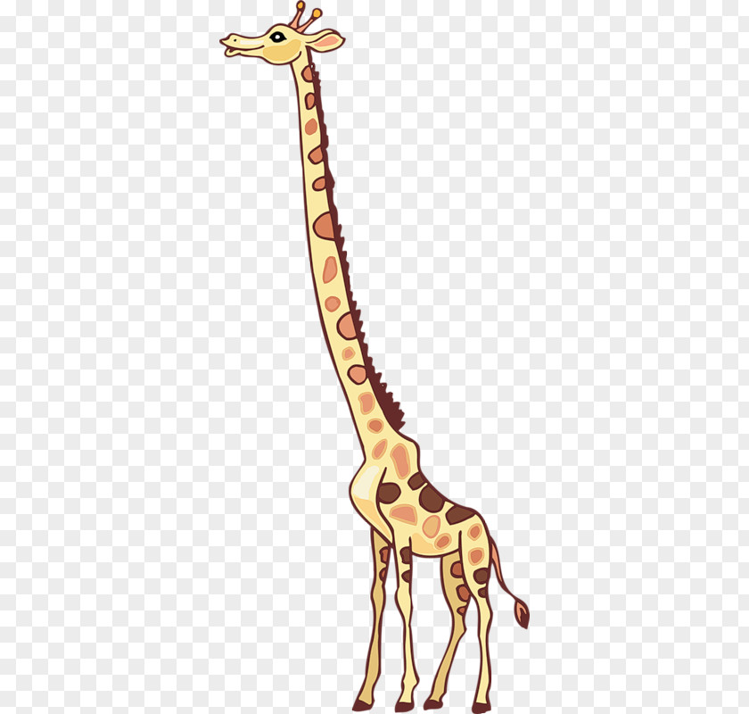 Giraffe Northern Animaatio Lion Clip Art PNG
