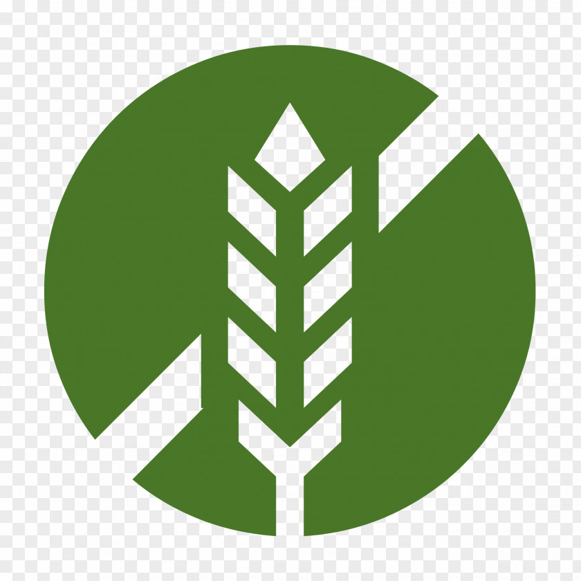 Leaf Logo Herbalism Tincture Food PNG