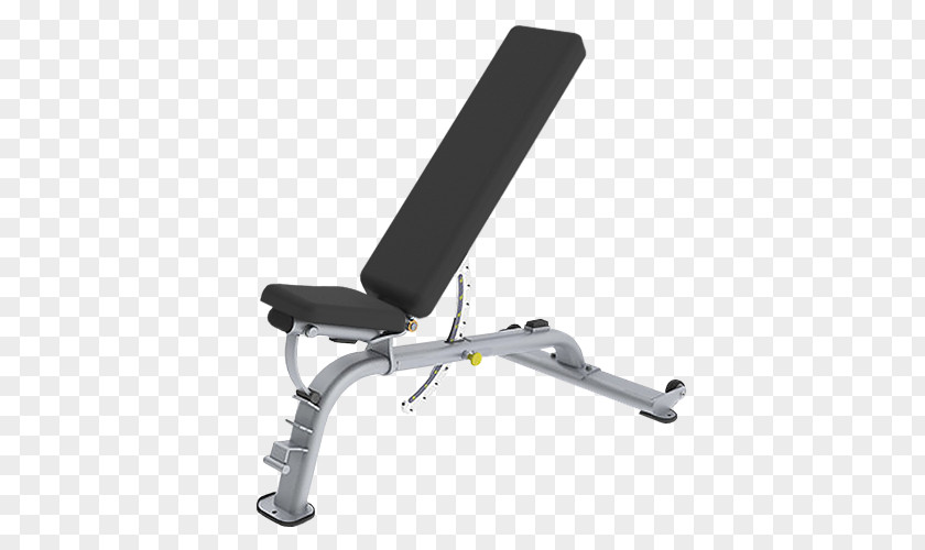 Lifting Barbell Fitness Beauty Bench Press Exercise Equipment Physical PNG