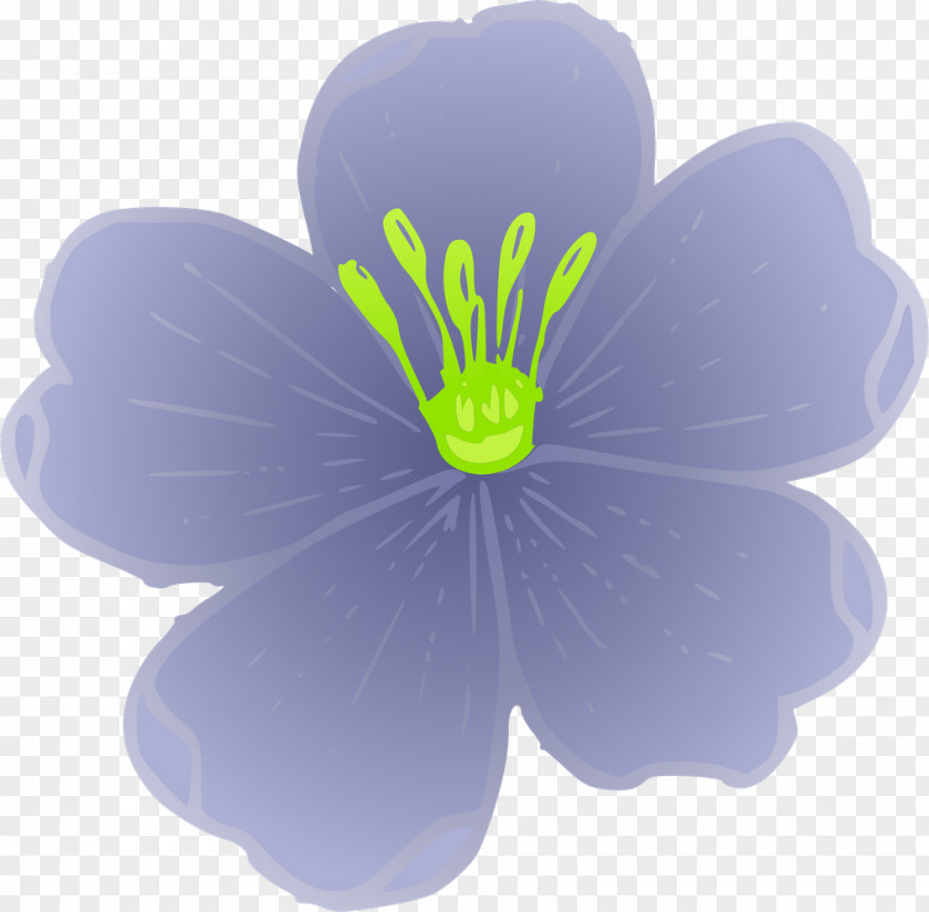 Plant Flax Linum Lewisii Clip Art PNG